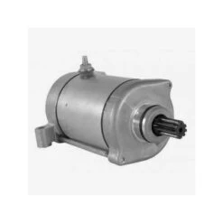 Domino DEMARREUR 12V GRIZZLY 700 08/17